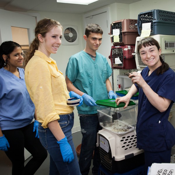 Education Wild Bird Fund