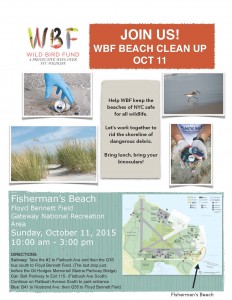 WBF Beach Cleanup